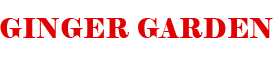 IMG-LOGO